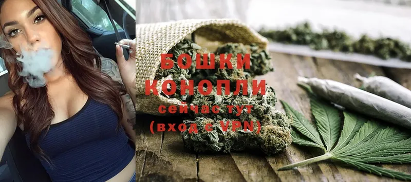 Марихуана OG Kush  Клин 